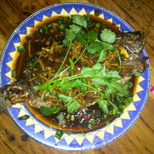 美食 鱼的做法:解锁鲜美口感,提升餐桌风味